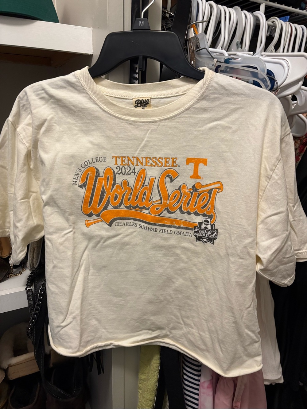 Tennessee World Series 2024  Graphic Tee